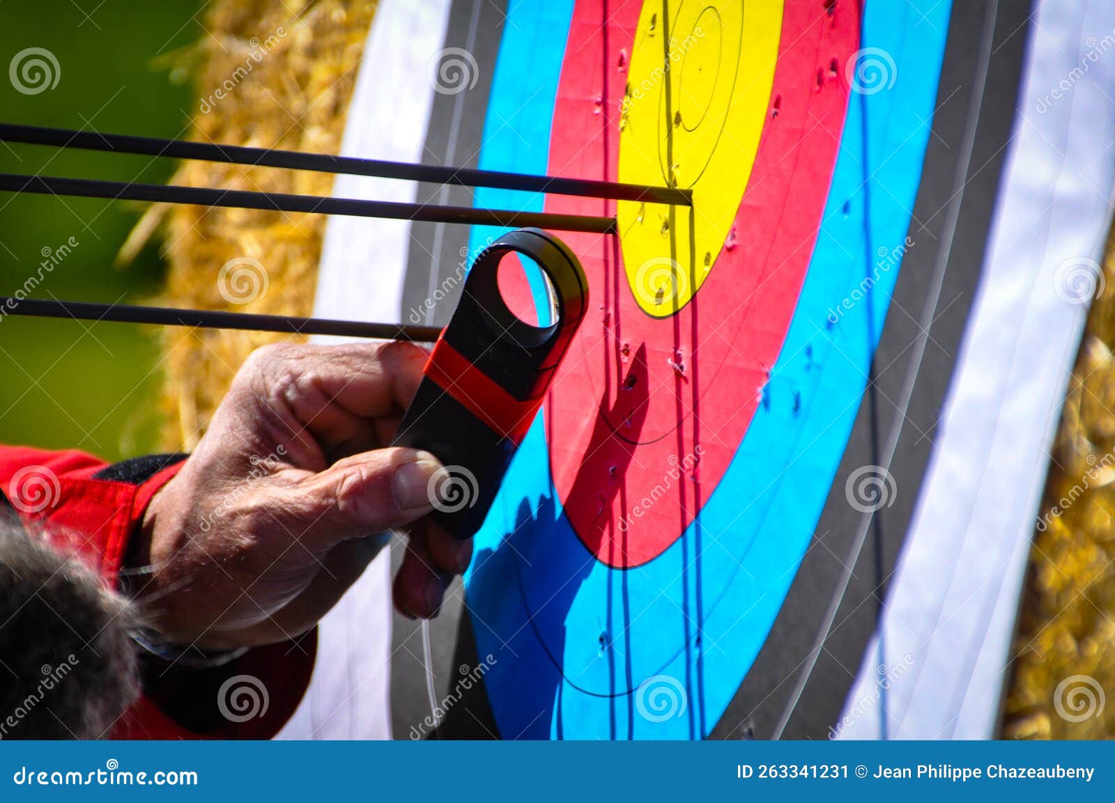 Archery Contest Target Coat of Arms Arrows Archer Stock Image Image