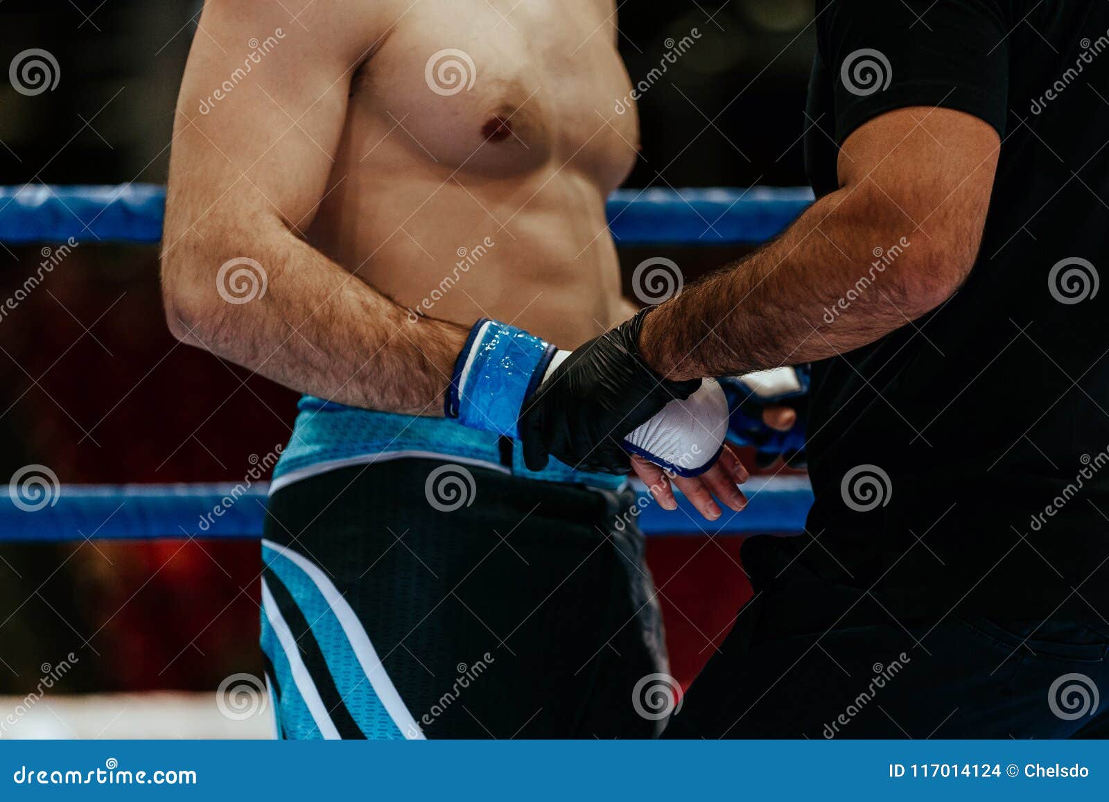 Referee In Ring Control Gloves Stock Photo Image of combat, amateur 117014124