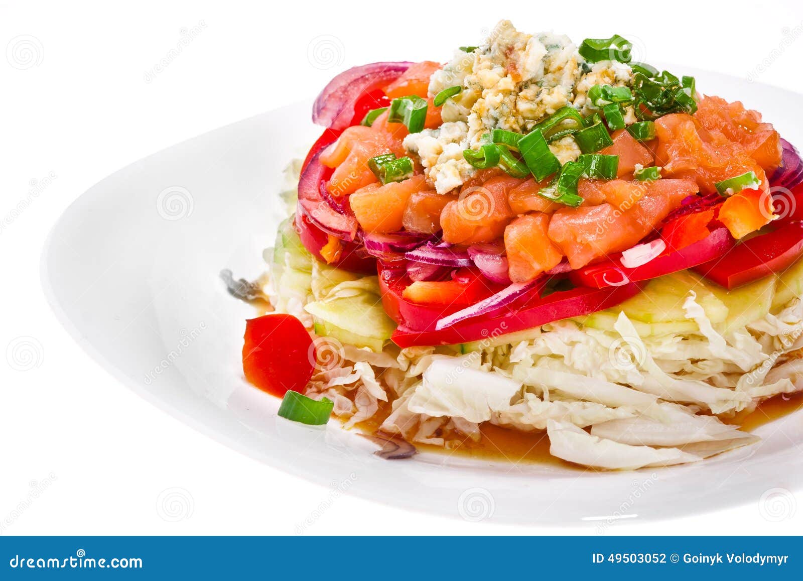 Refined salad stock photo. Image of exquisite, cabbage 49503052