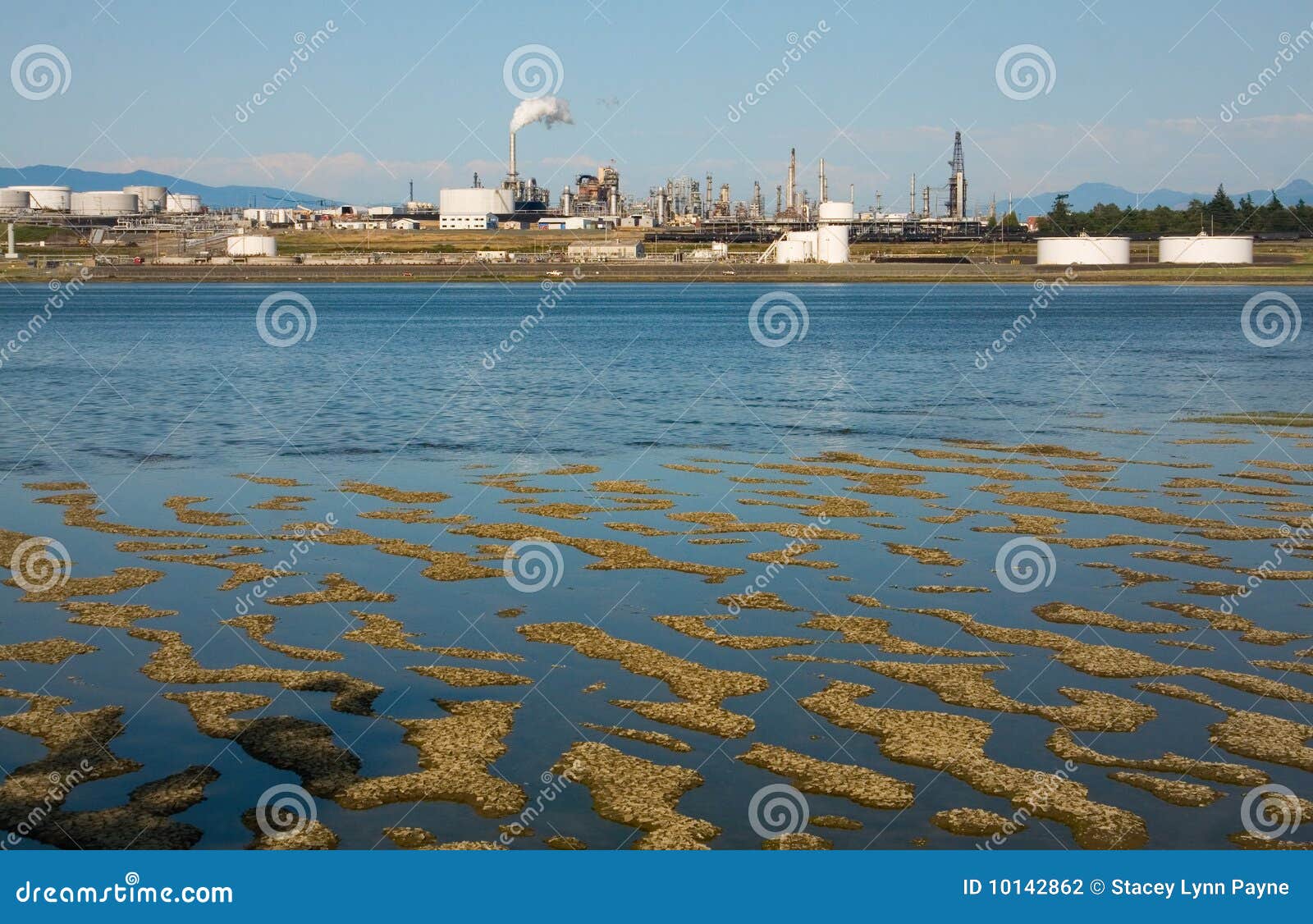Refinery at Low Tide stock photo. Image of crude, anacortes 10142862
