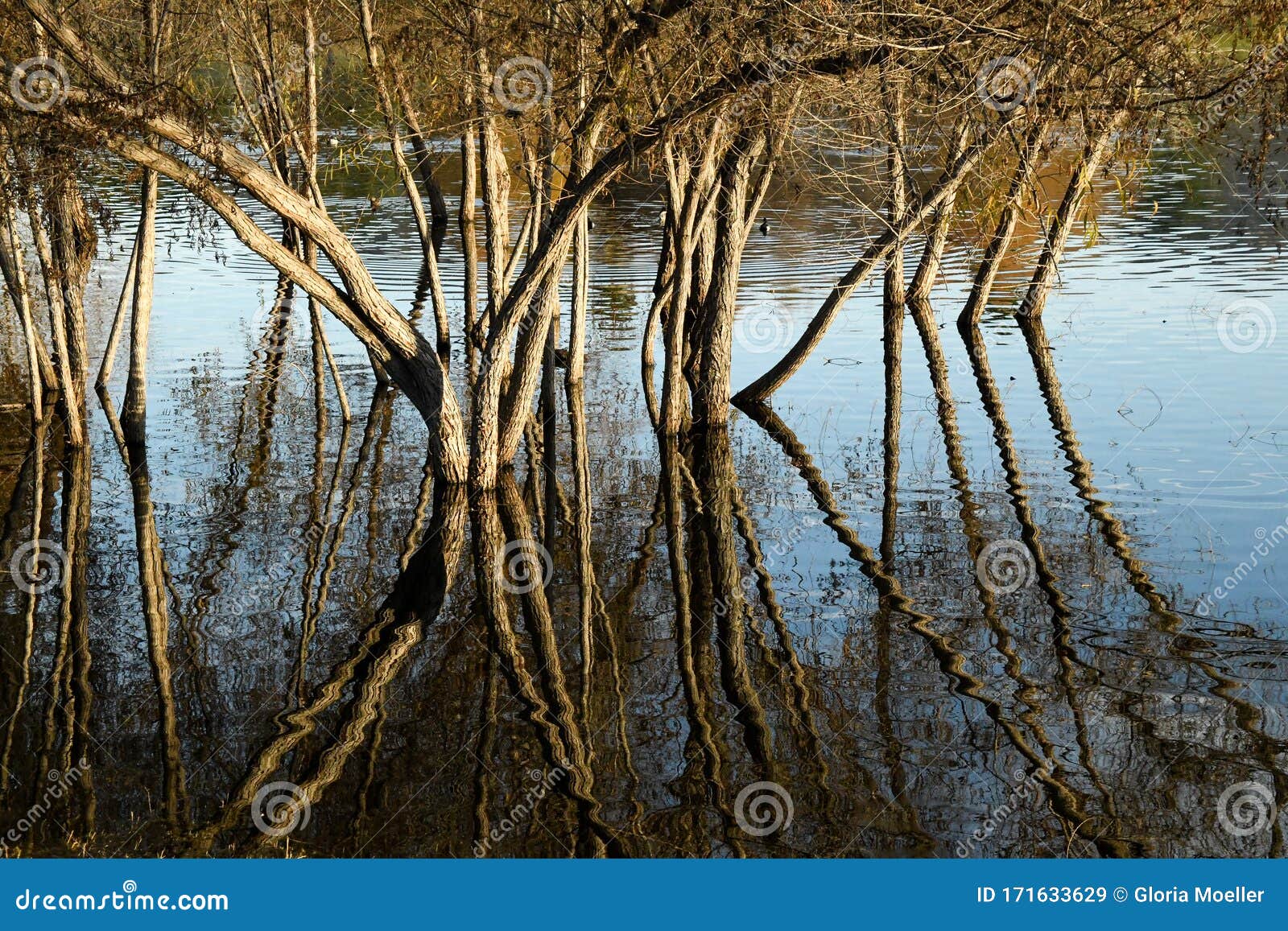 reflection distorted by water ripples at lindo lake
