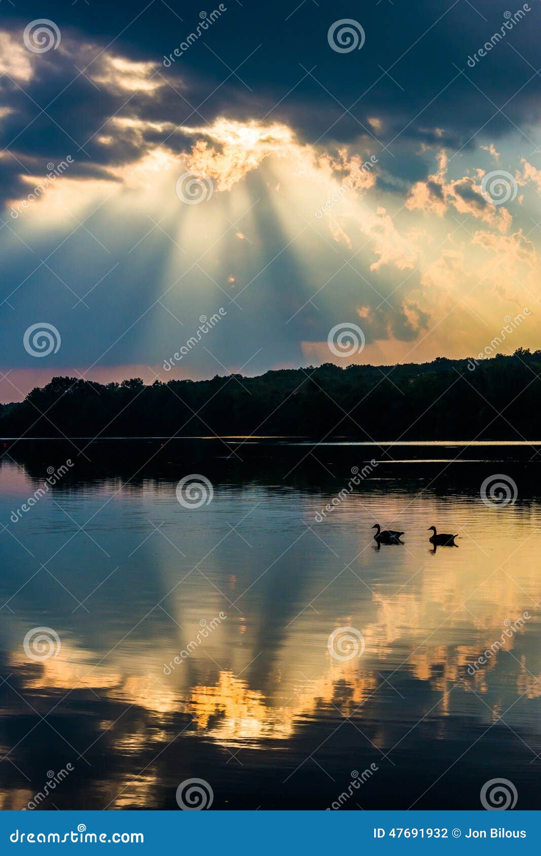 reflection of dramatic sky and geese in lake pinchot, at gifford pinchot state park, pennsylvania.
