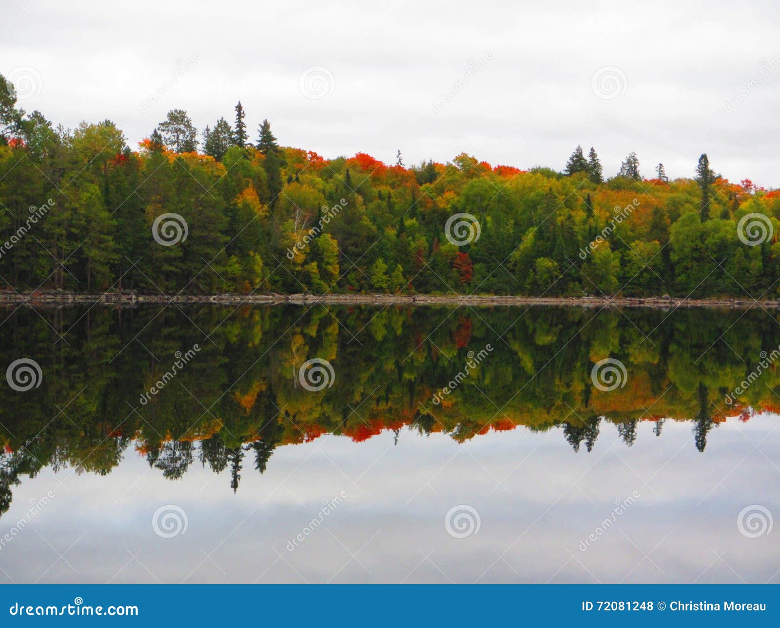 Reflection of Fall Colors Kipawa Lake Quebec Stock Photo Image of