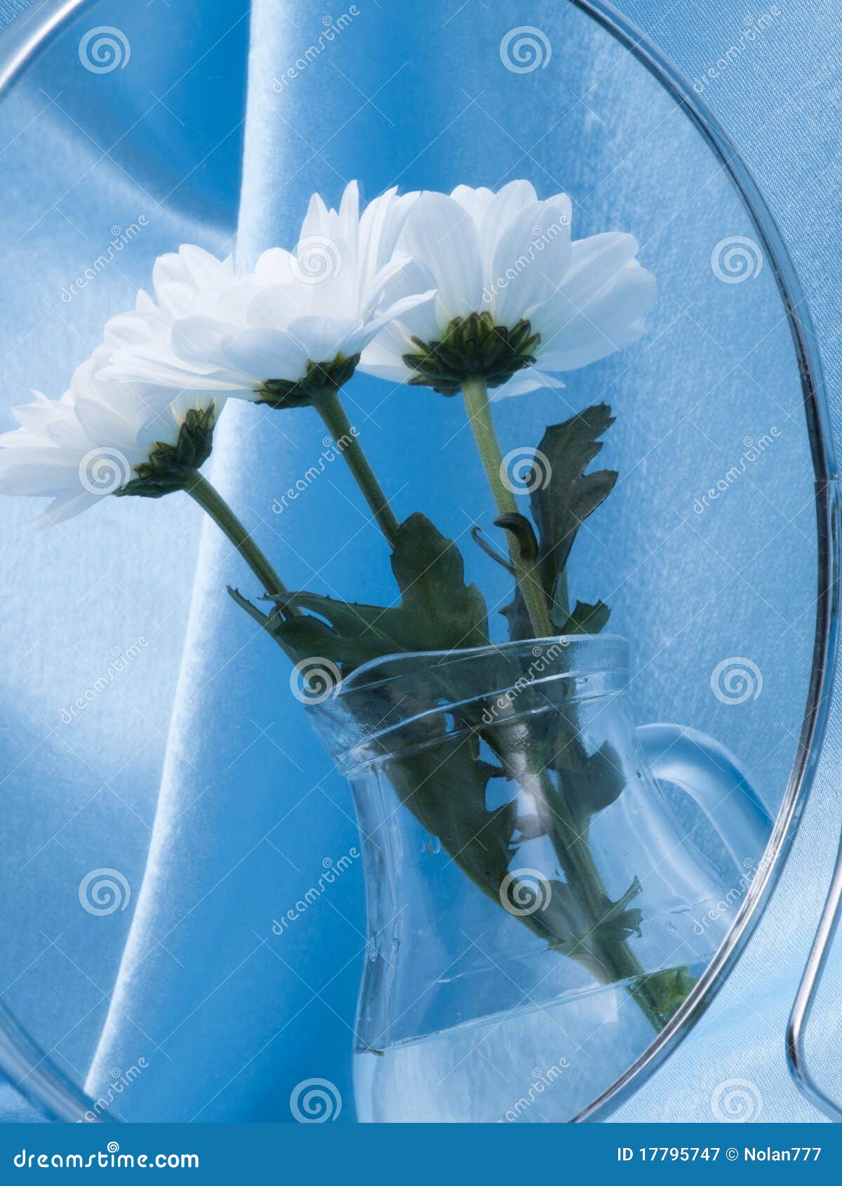 Reflection in a mirror stock image. Image of bouquet - 17795747