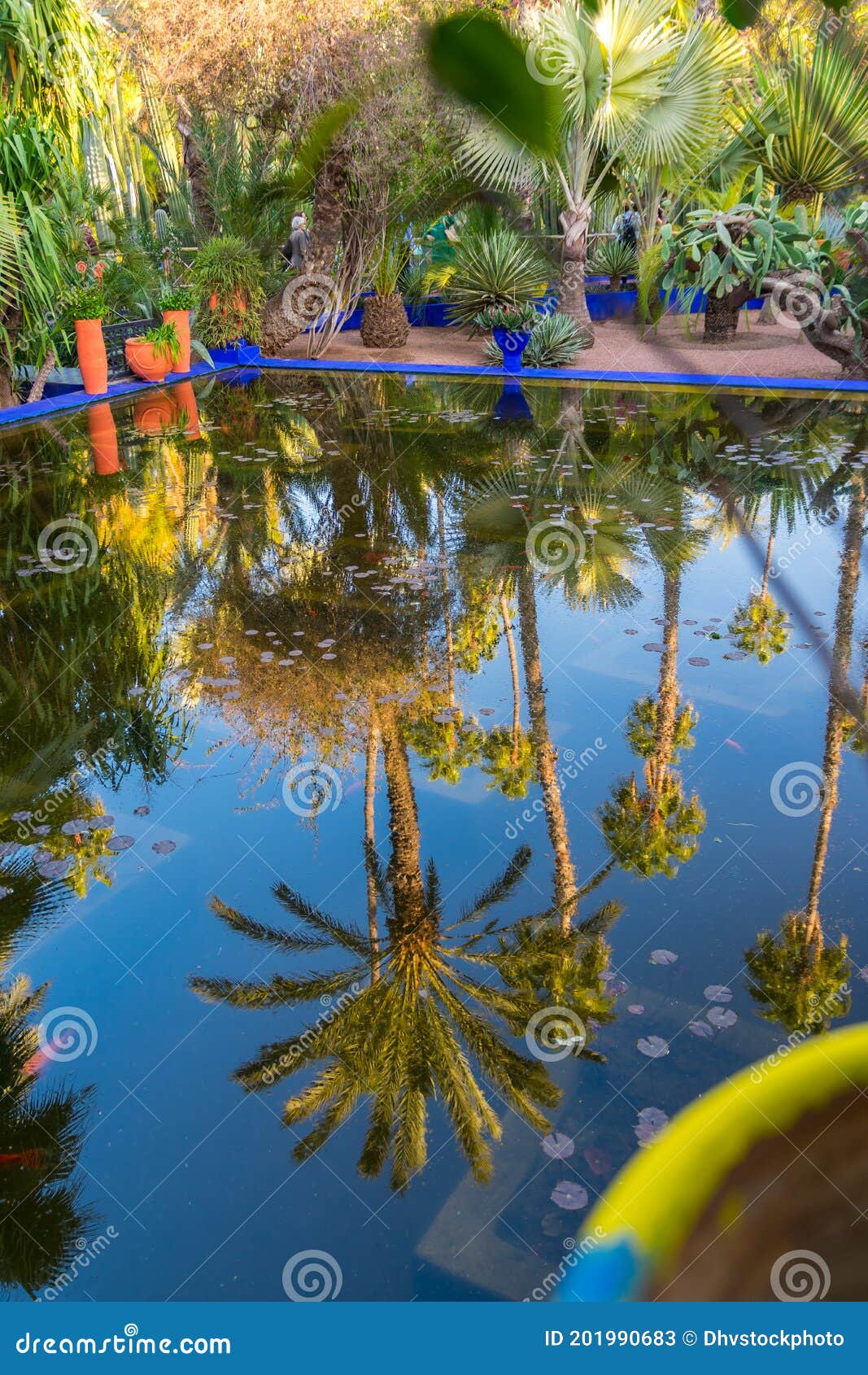 reflection of a palm tree in a bright blue fountain and a garden of captus and exotic plants. majorelle garden. concept of travel