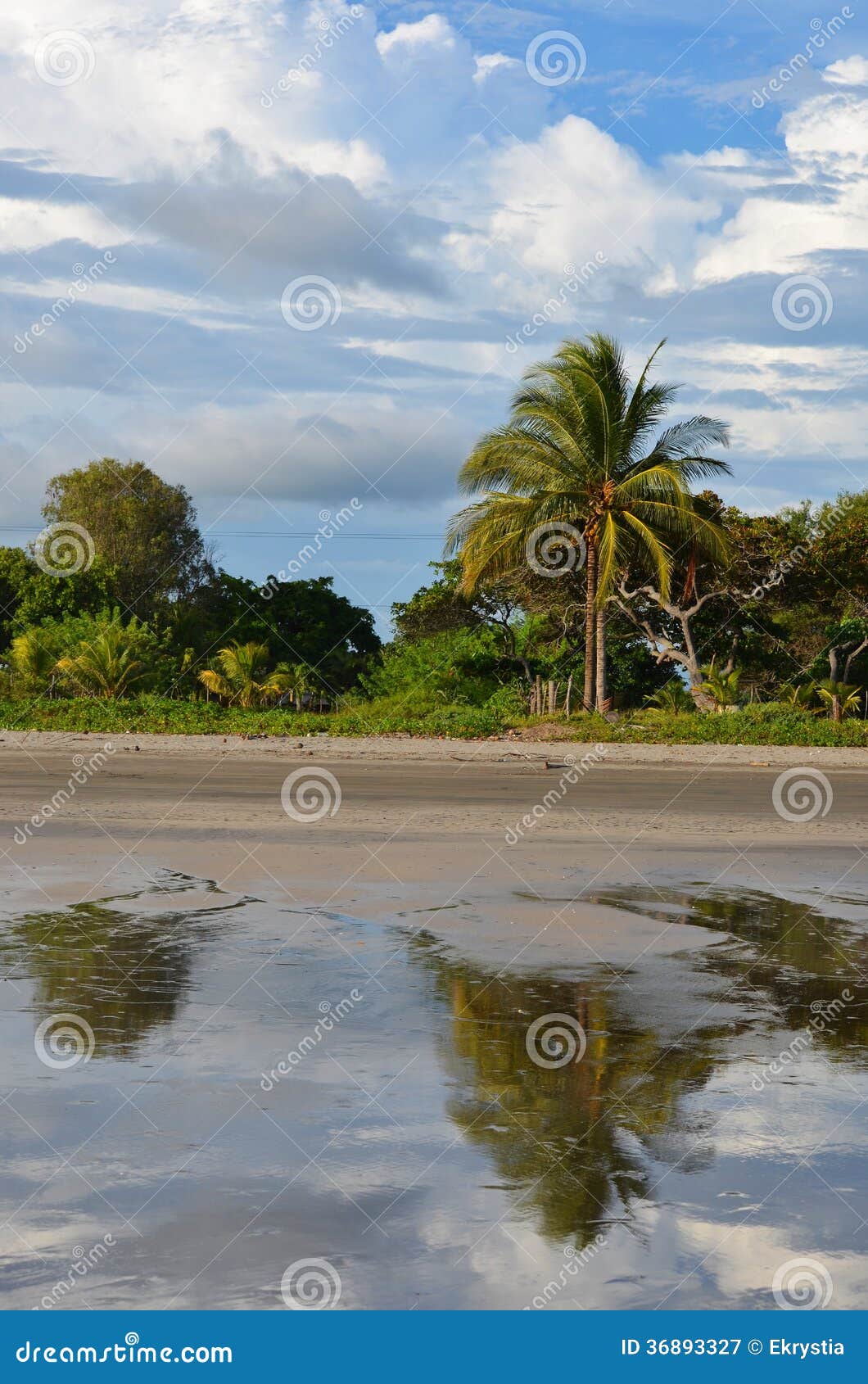 reflection. playa el espino