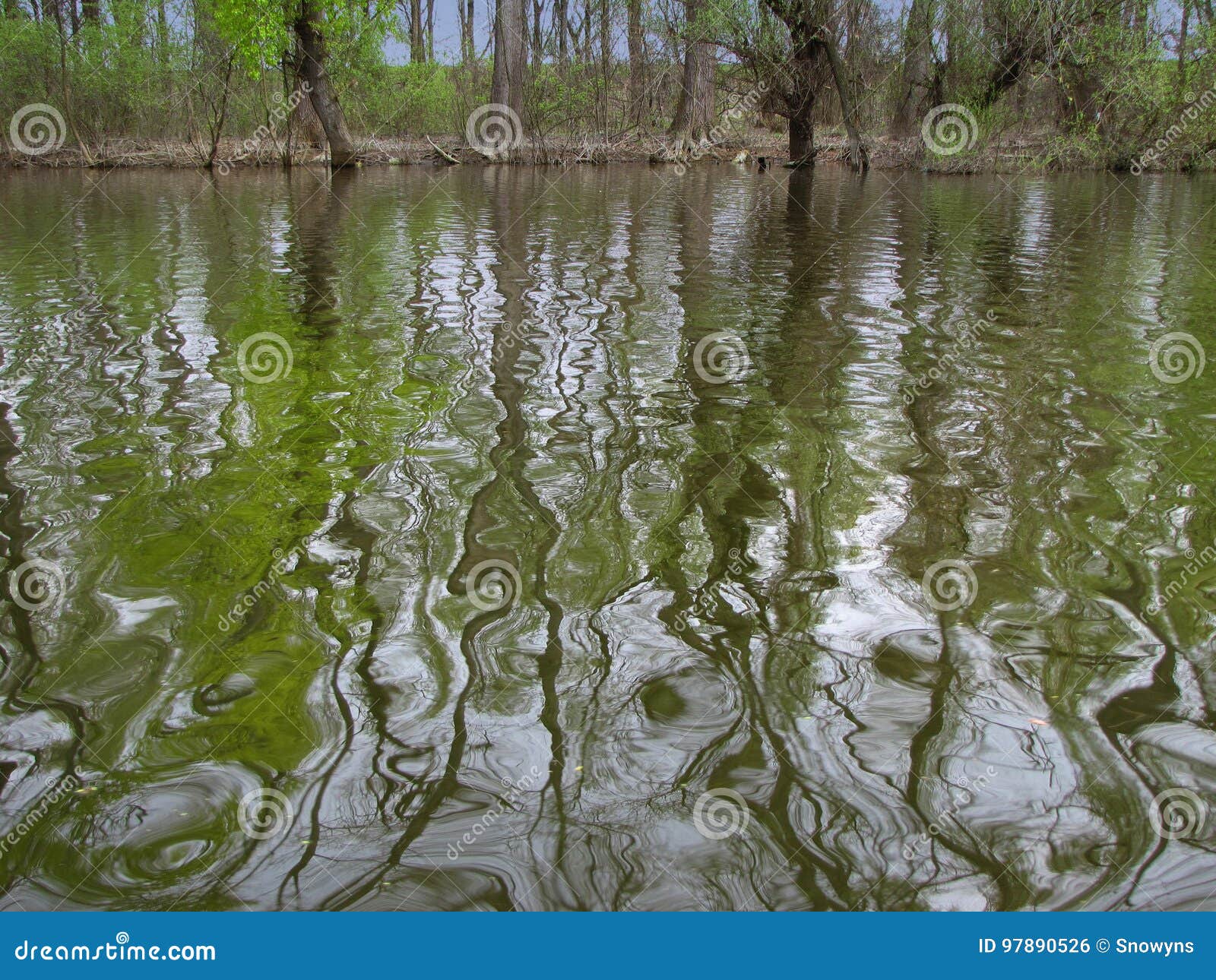 Reflection Shapes in the Water Stock Photo Image of water, reflection
