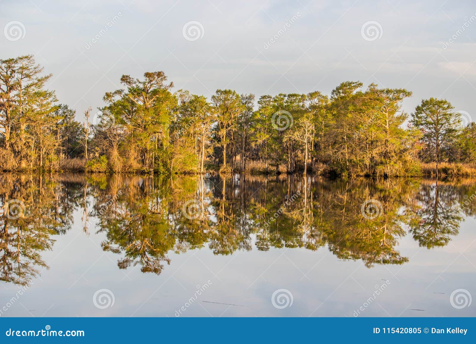 reflection of trees on the south carolina icw at thoroughfare creek