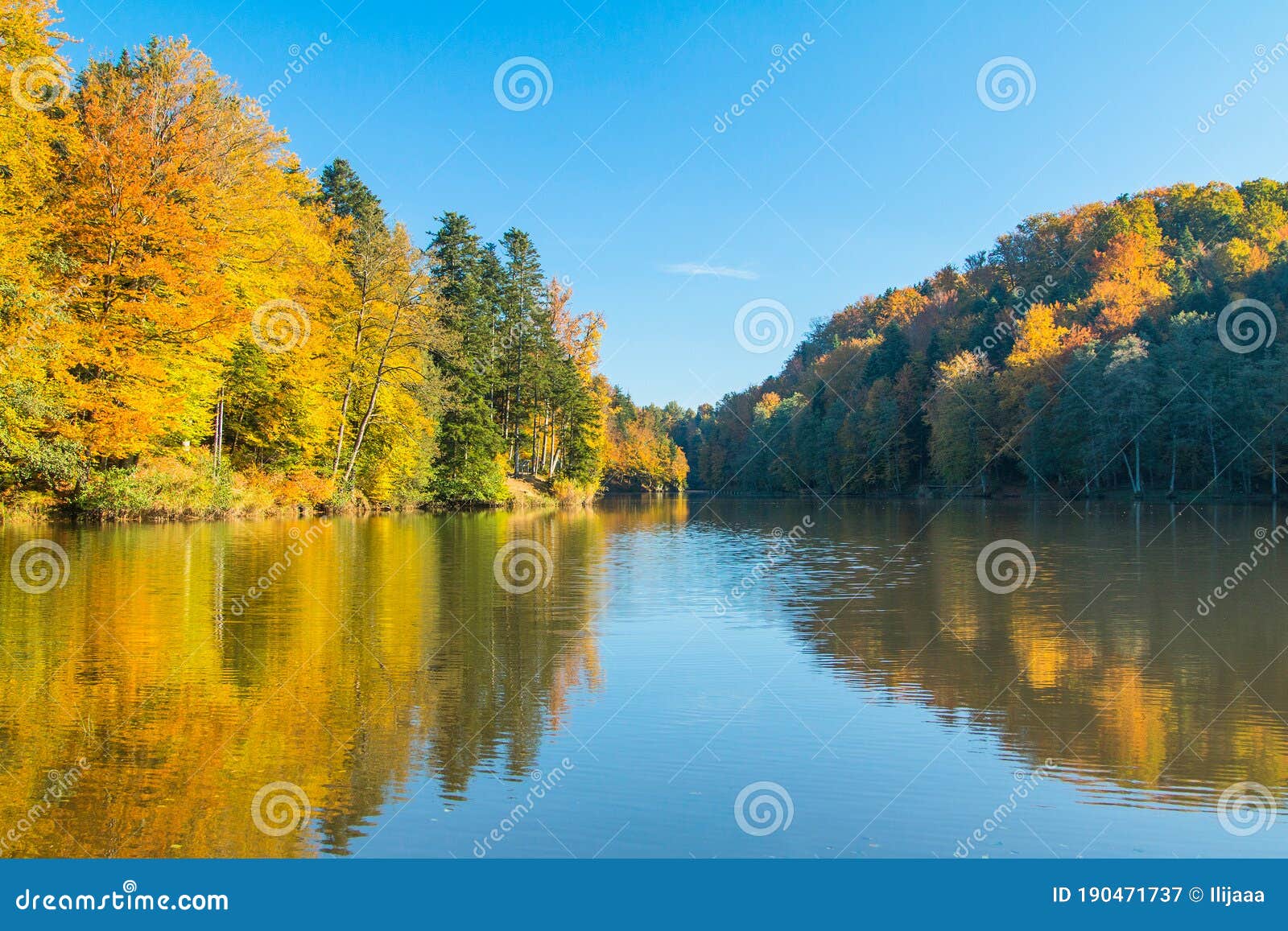 reflection of trees on trakoscan lake in zagorje, croatia
