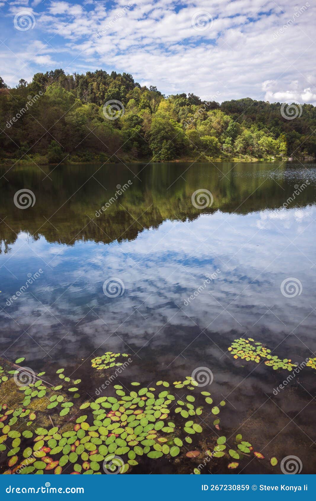reflections at dents run