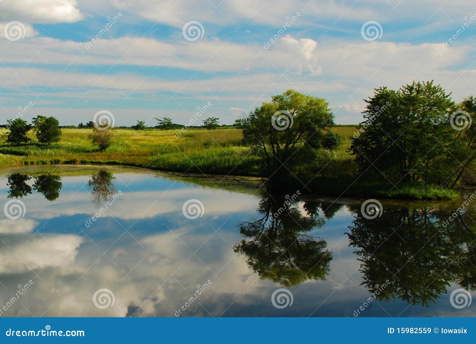 reflections on an iowa farm pond