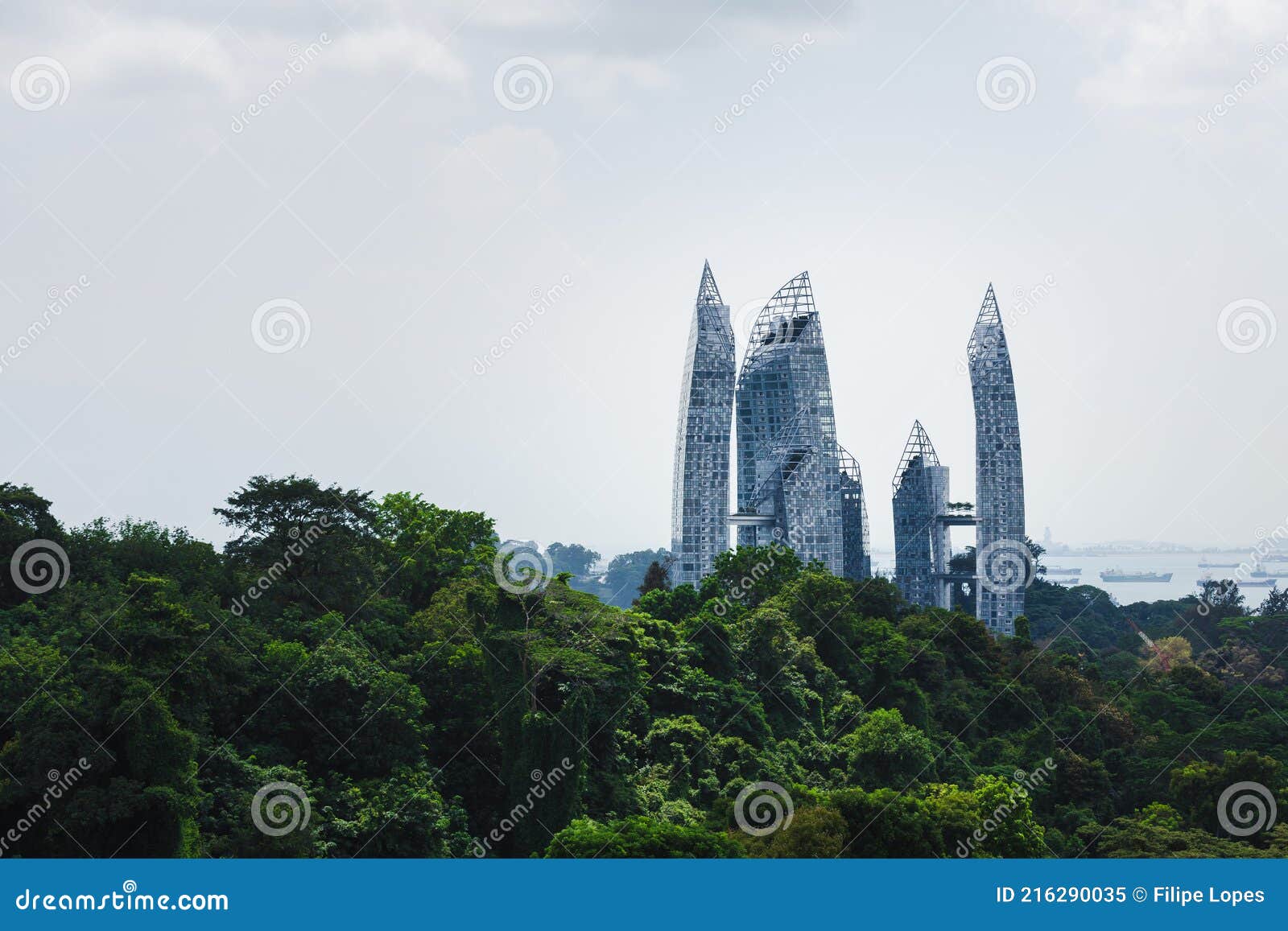 Reflections at Keppel Bay and a Forest Editorial Image Image of color