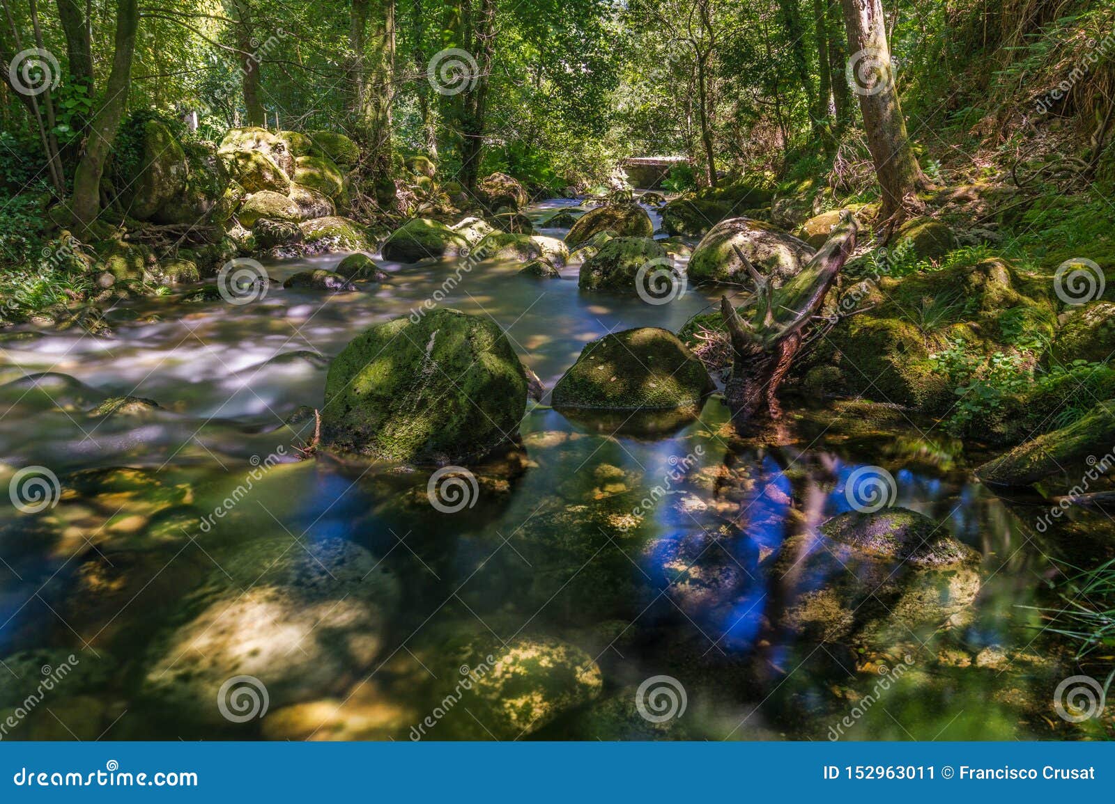 reflections in the river pedras