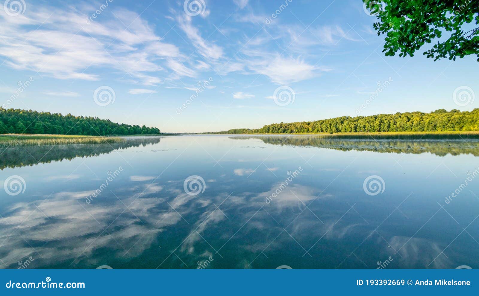 Reflexiones De Nubes En El Claro Y Tranquilo Bosque Acuático Del Lago En  Segundo Plano Mañana De Verano Imagen de archivo - Imagen de agua, calma:  193392669
