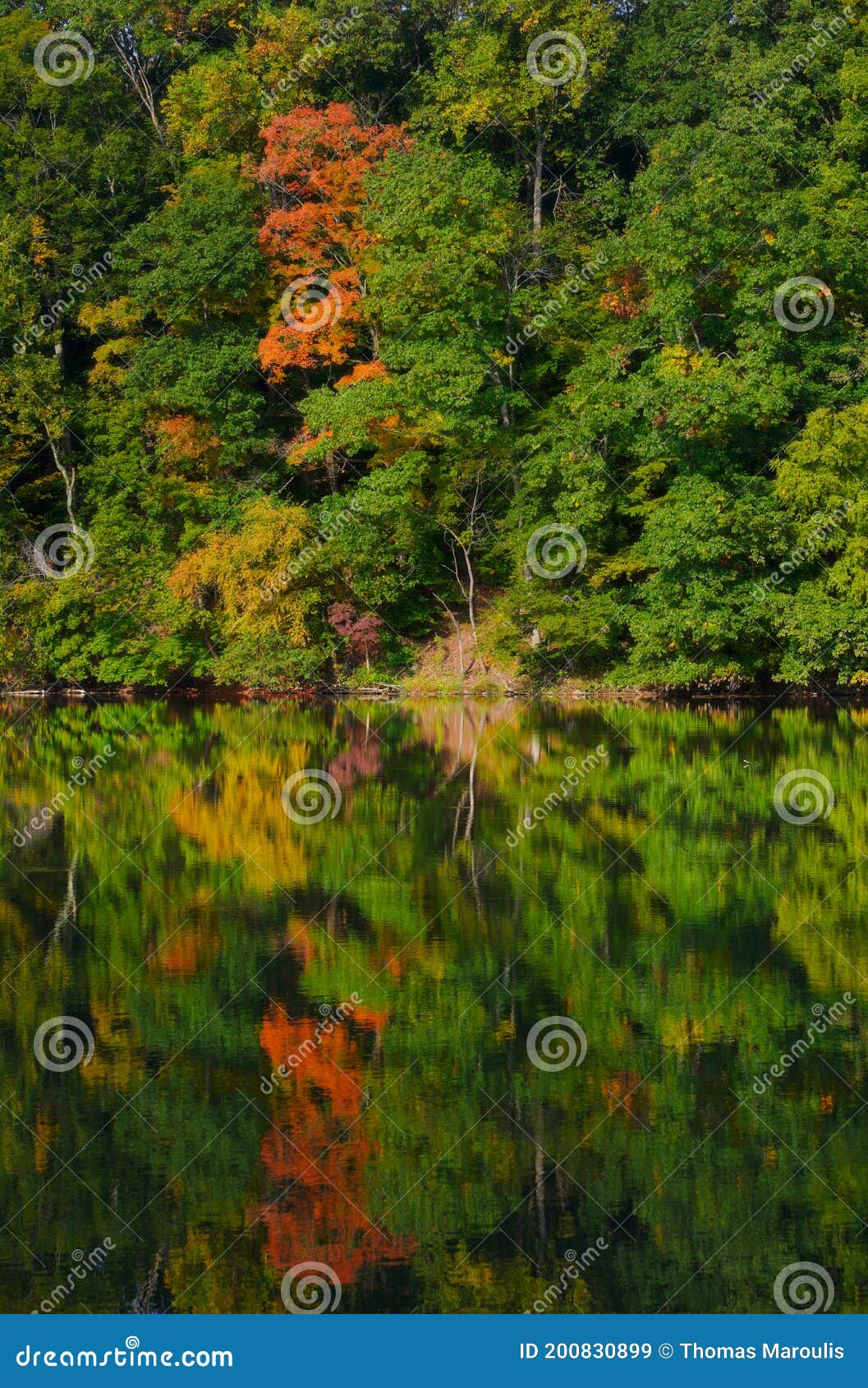 Reflexiones De Otoño Temprano Imagen de archivo - Imagen de colorido, temprano: 200830899 Reflexiones De Otoño Temprano Imagen de archivo - Imagen de colorido, temprano: 200830899