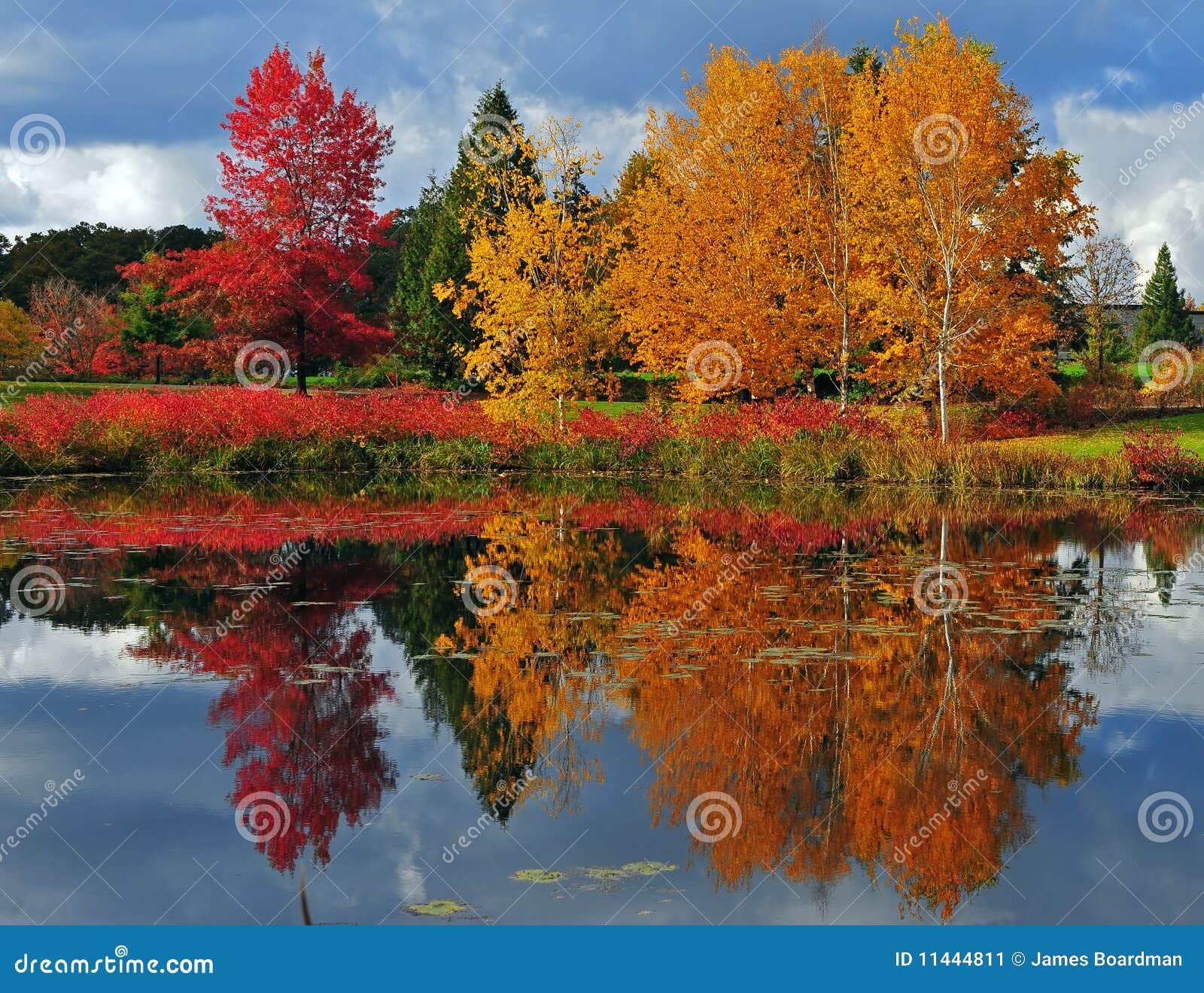 Reflexiones del otoño imagen de archivo. Imagen de paisaje - 11444811
