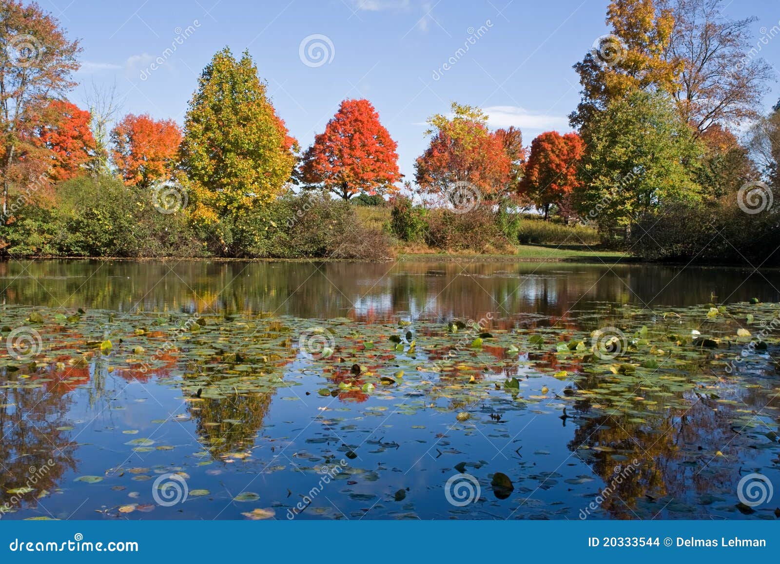 Reflexiones del otoño foto de archivo. Imagen de sunlight - 20333544