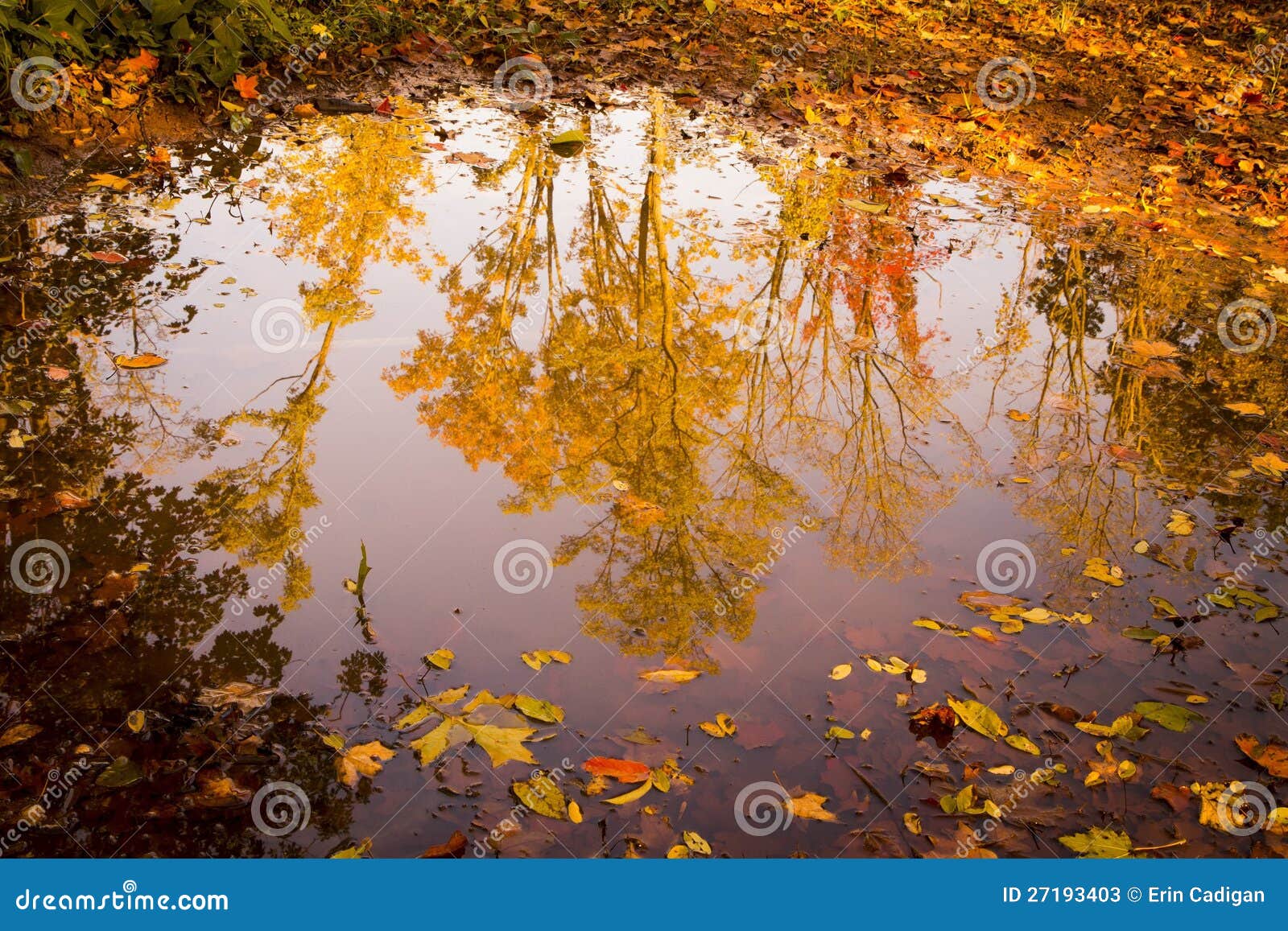 Reflexiones del otoño imagen de archivo. Imagen de acogedor - 27193403 Reflexiones del otoño imagen de archivo. Imagen de acogedor - 27193403