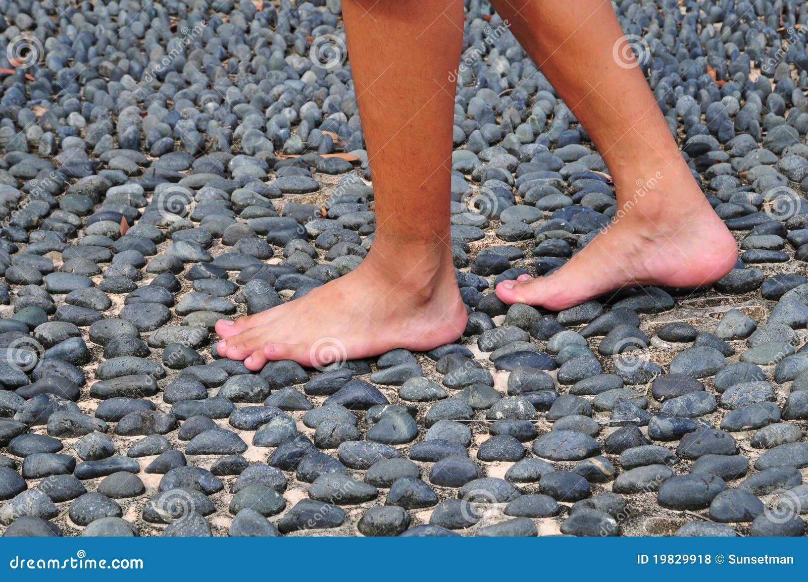 205 Uneven Walking Surface Stock Photos Free & RoyaltyFree Stock