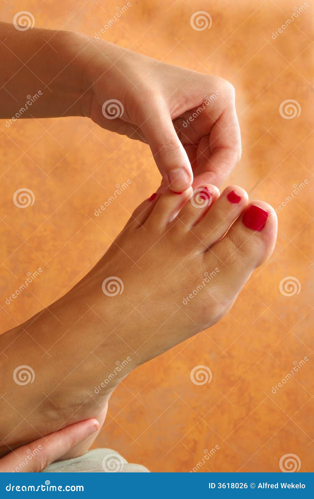 Reflexology Toe and Foot Massage Stock Photo Image of harmony