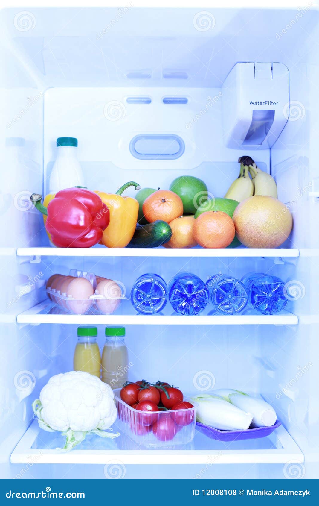 Refrigerator stock photo. Image of lifestyle, fridge 12008108
