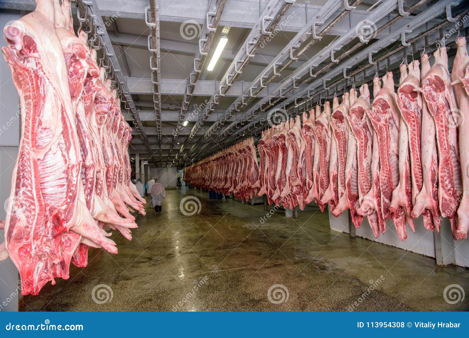 Refrigerator Pork Meat Storage Stock Photo Image of plant