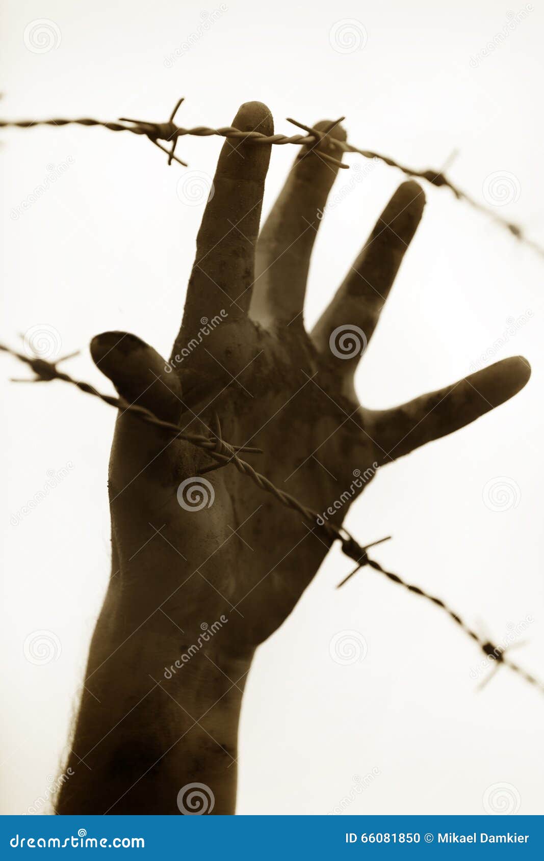 refugee men and fence