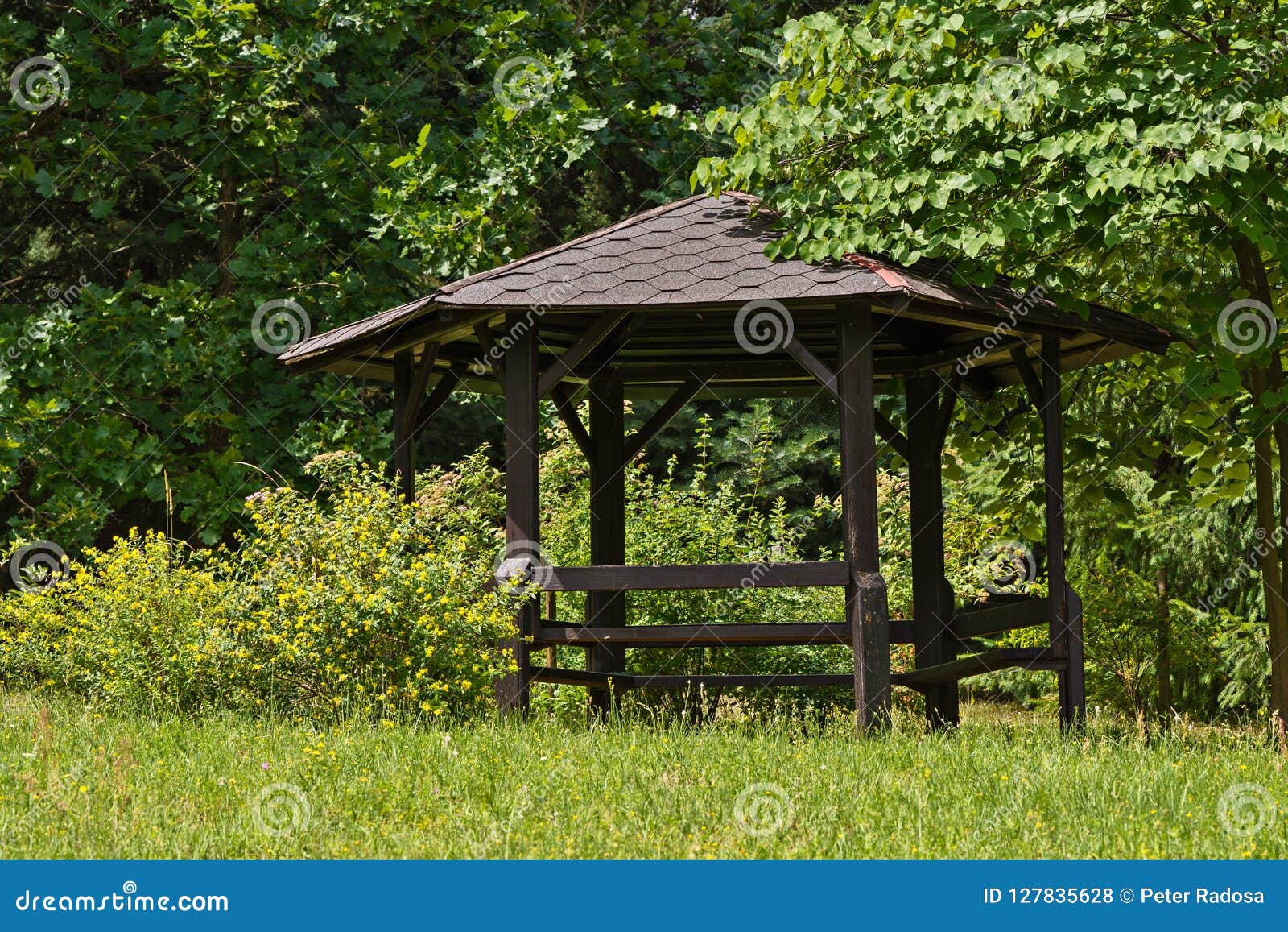 Refugio, Gazebo De Madera En El Parque Foto de archivo Imagen de