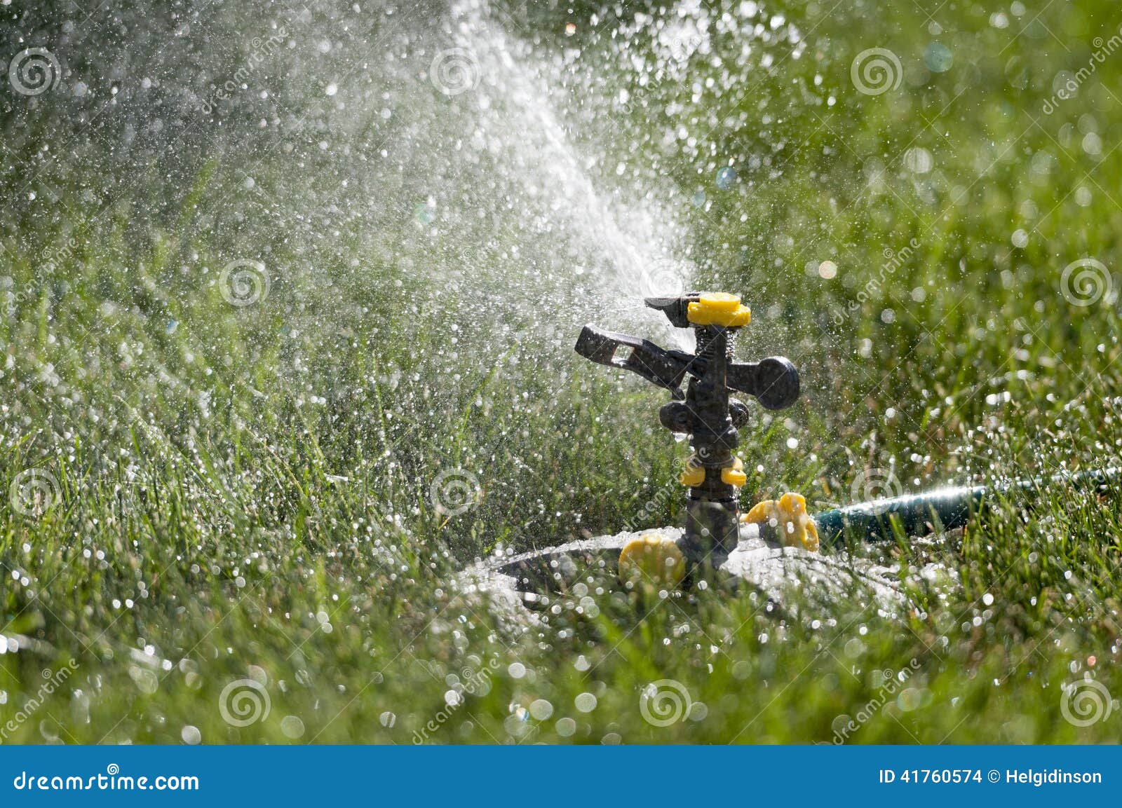 Regadera del césped que asperja el agua a través del césped