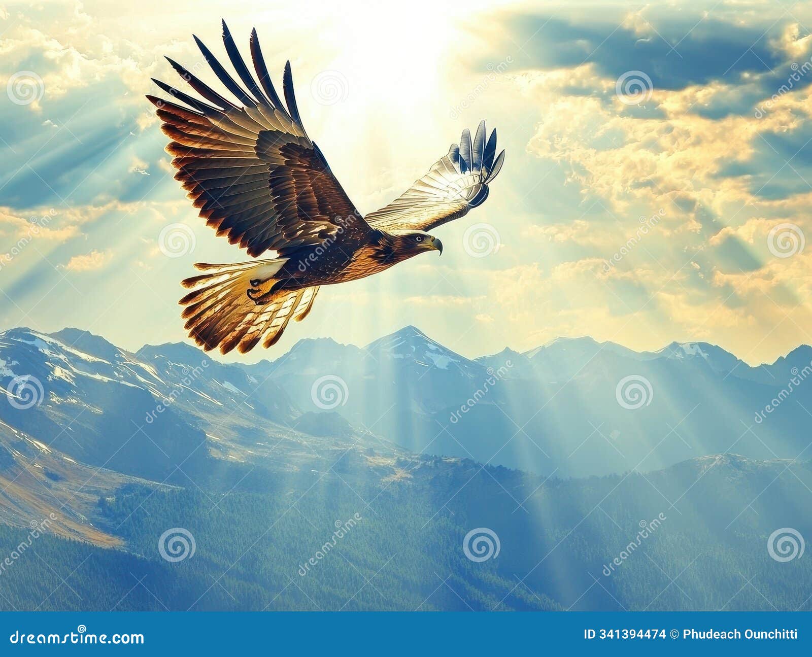 regal eagle soaring above majestic mountain range