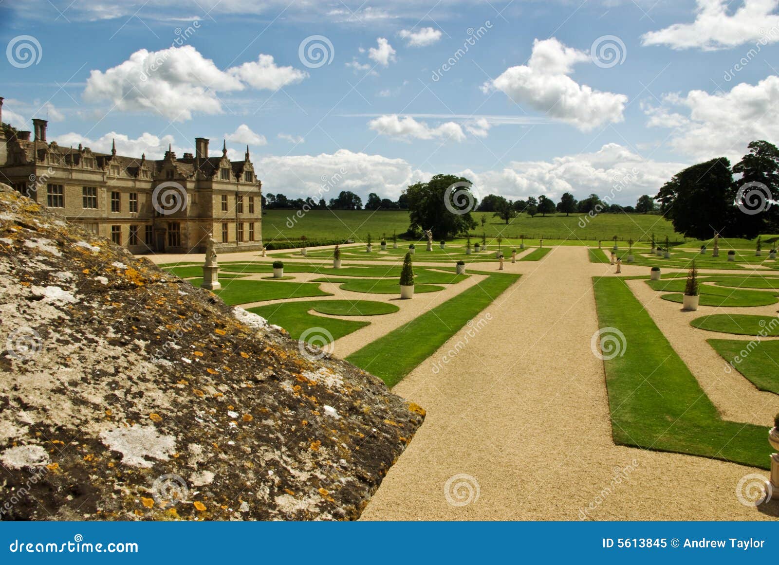 Regal garden stock image. Image of plant, horticulture - 5613845