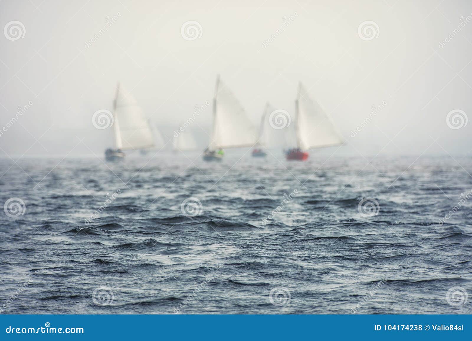 Regata Delle Barche A Vela Con Le Vele Bianche Nel Mare Fotografia Stock Immagine Di Regatta Lifestyle