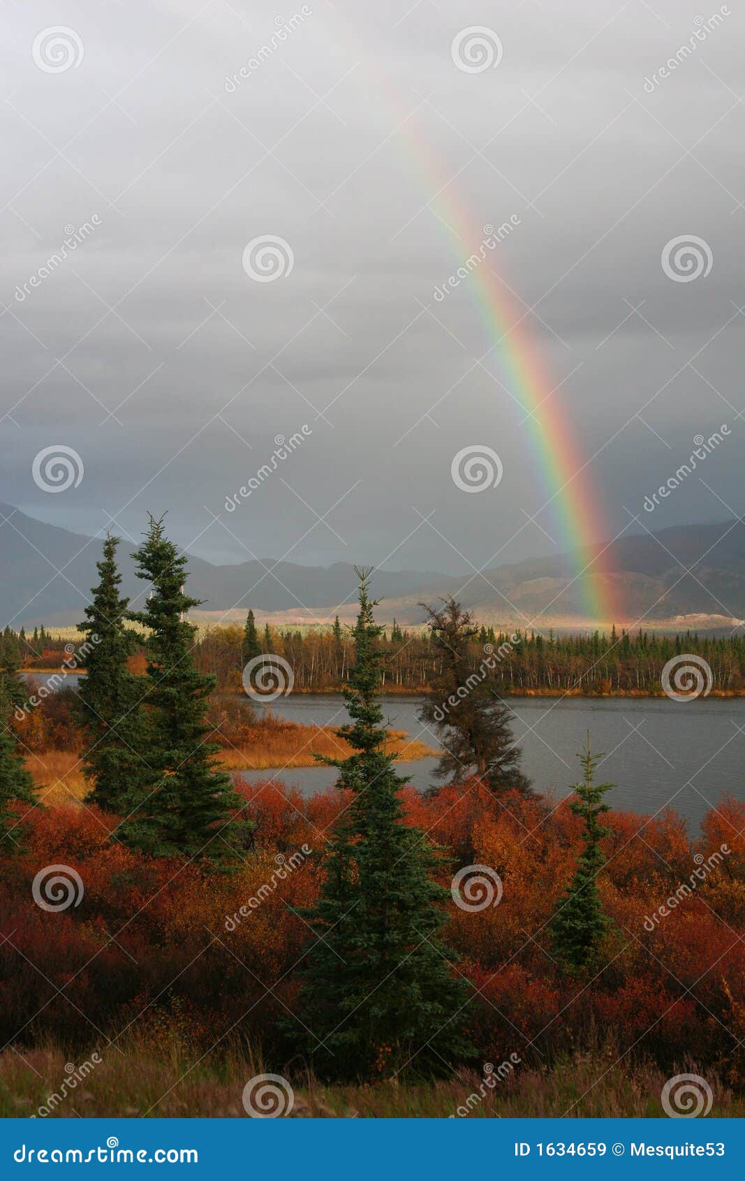 Regenboog in Alaska. Een regenboog over een meer in centraal Alaska.
