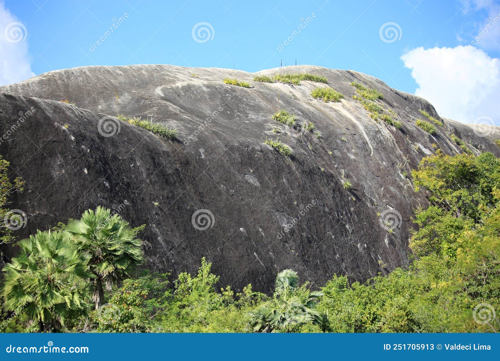 mountain and undergrowth with some vegetation in the region close to the sea, northeast of brazil.