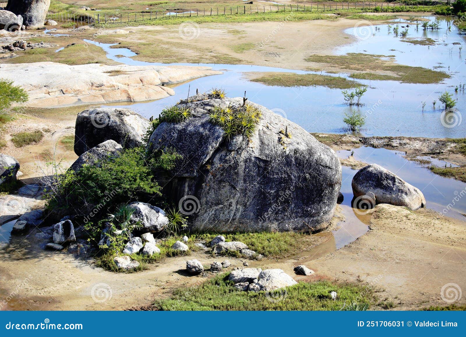 big rocks and undergrowth with some vegetation in the region close to the sea, northeast of brazil.
