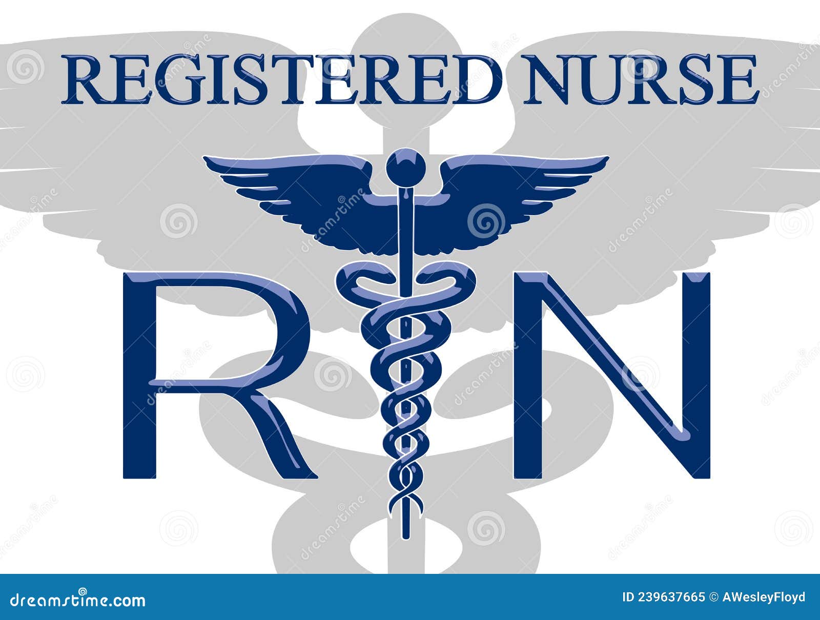 Registered Nurse Graphic Emblem B Stock Vector - Illustration of  registered, graphic: 239637665