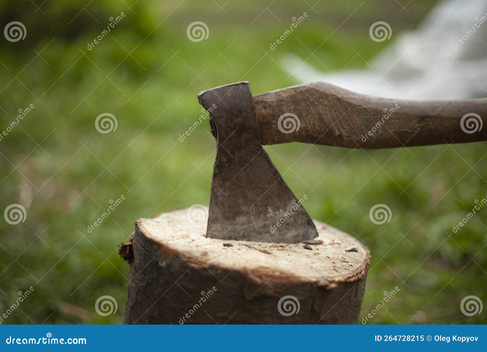 Registro De Ax. Hacha Para Cortar Leña. Herramienta De Jardín Imagen de  archivo - Imagen de viejo, madera: 264728215