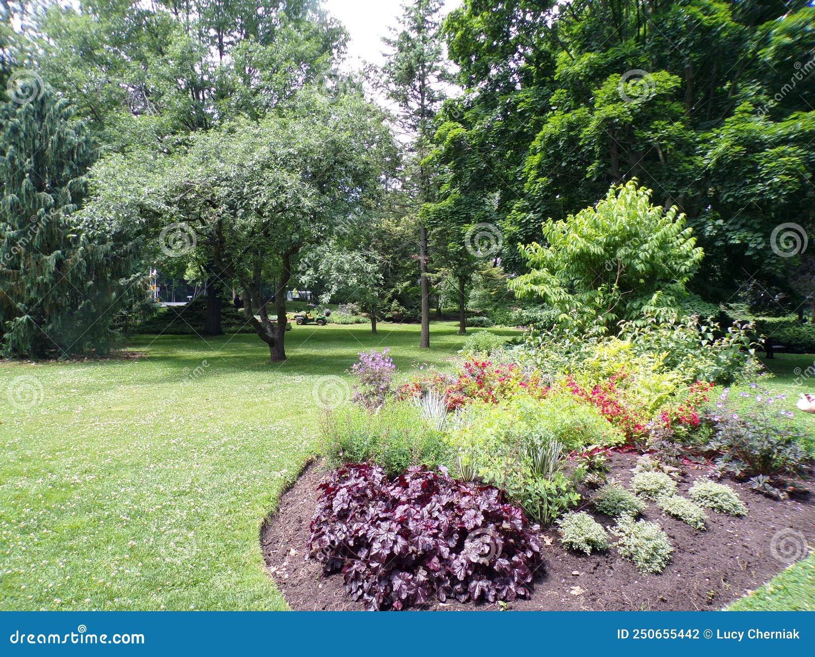 Regular Park Landscape stock photo. Image of leaves 250655442