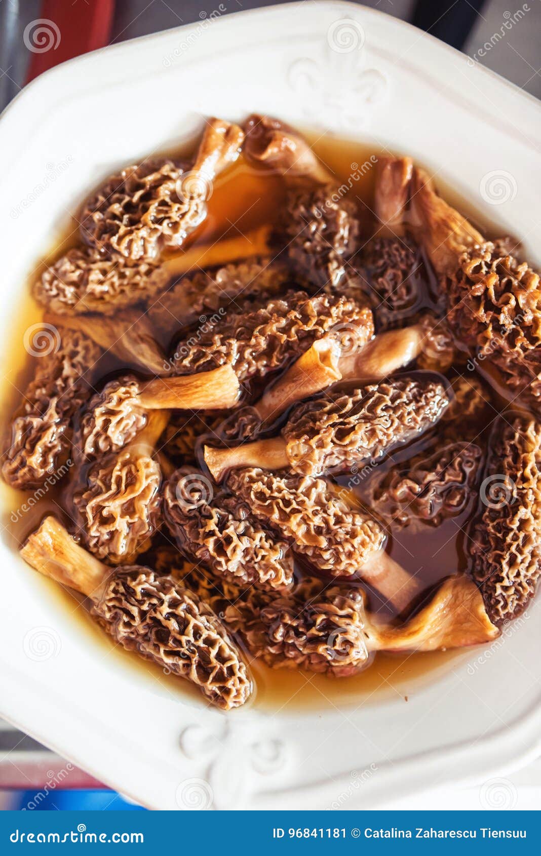 Rehydration of Morel Mushrooms Stock Image Image of fungus, mushrooms