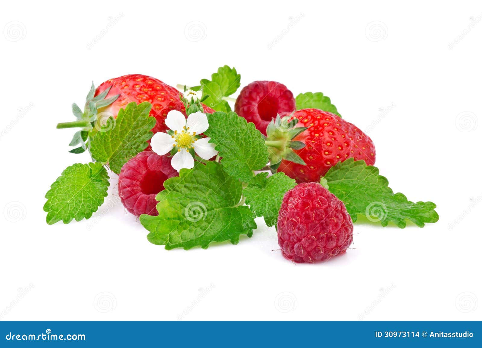 Reife Erdbeere Und Himbeere Mit Minze Stockfoto Bild von gesund