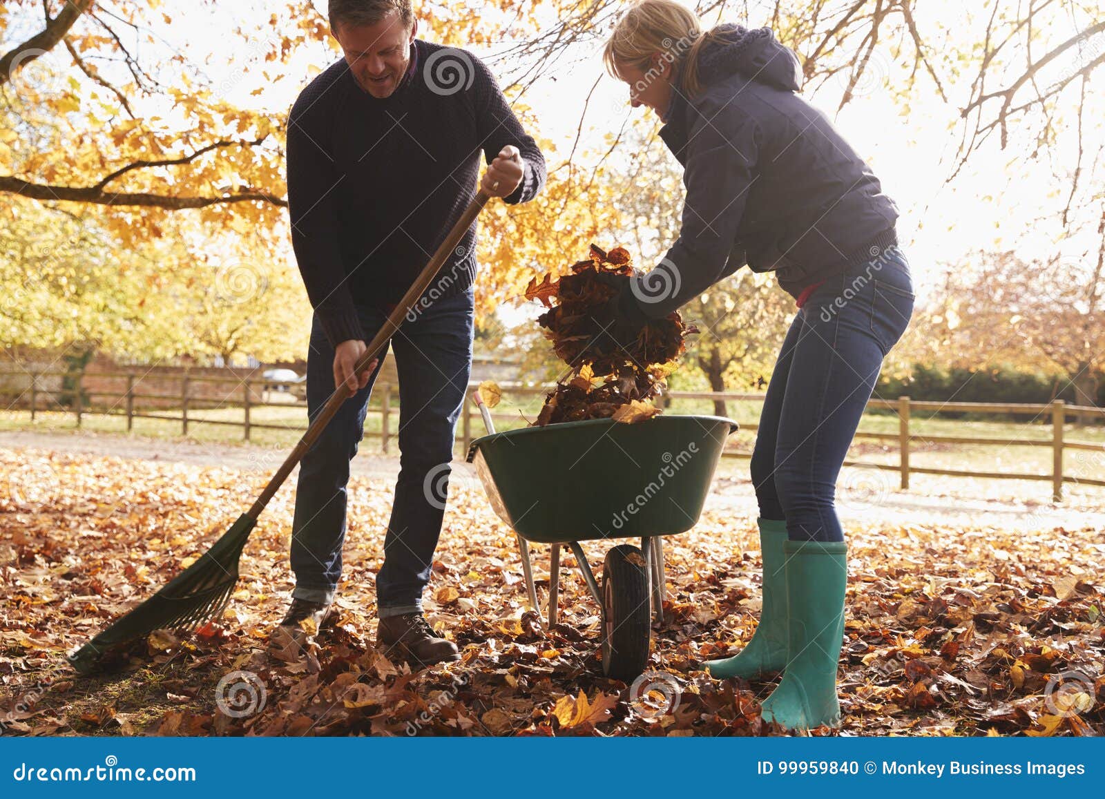 Reife Paare, Die Autumn Leaves Im Garten Harken Stockfoto ...