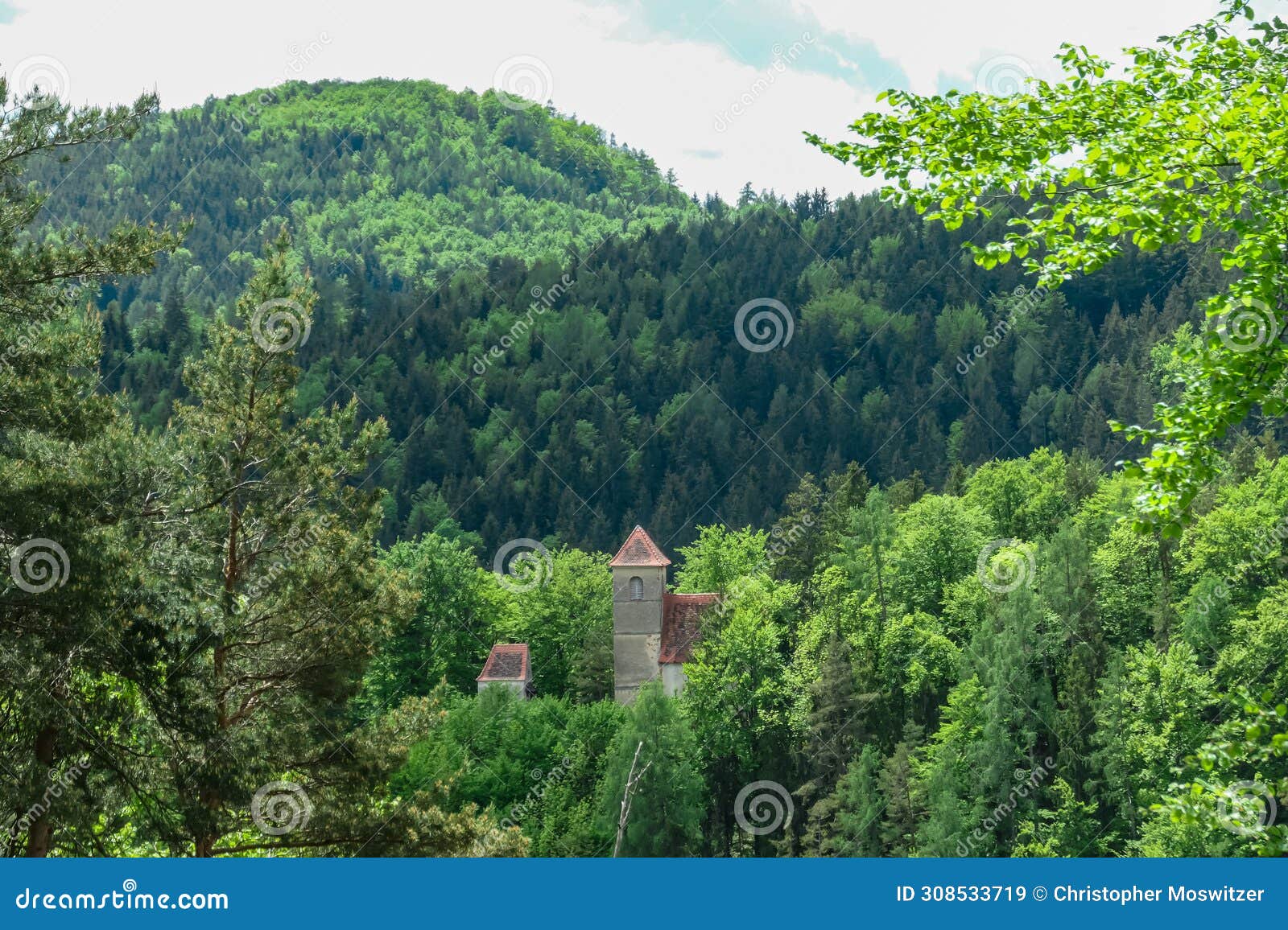 rein - scenic view of small church surrounded by lush green forest land in grazer bergland, prealps east of the mur, styria