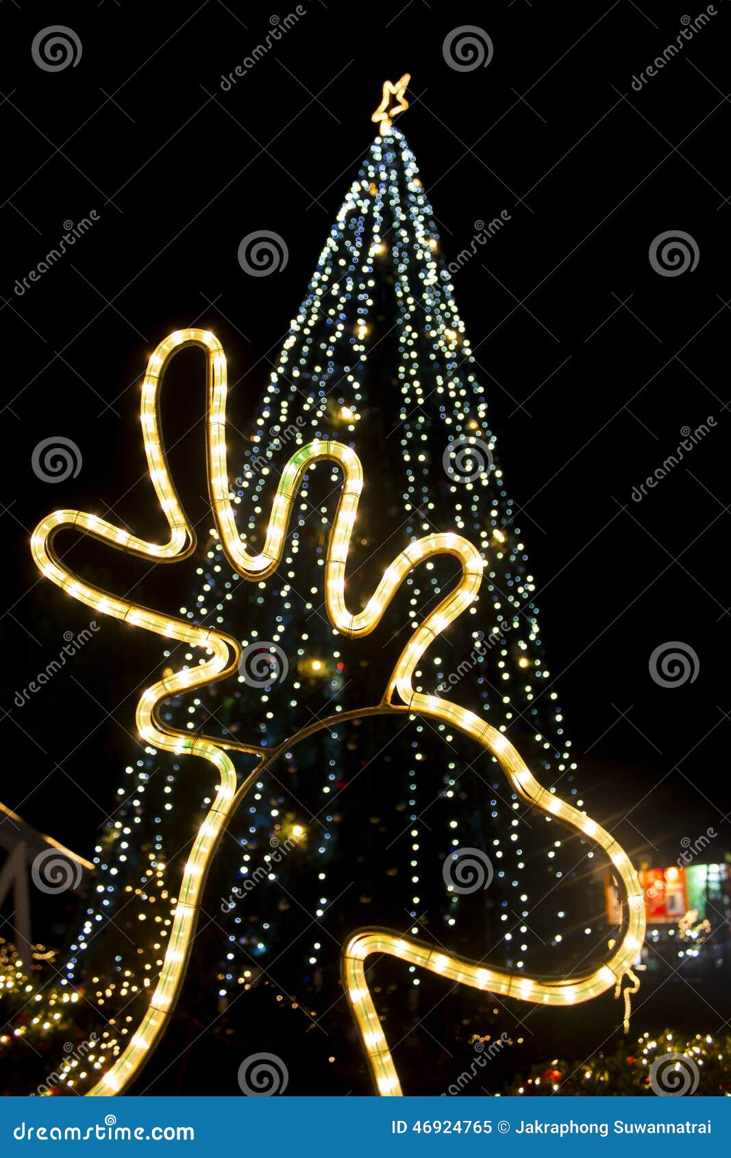 Reindeer Light and Christmas Tree Lights Stock Image Image of