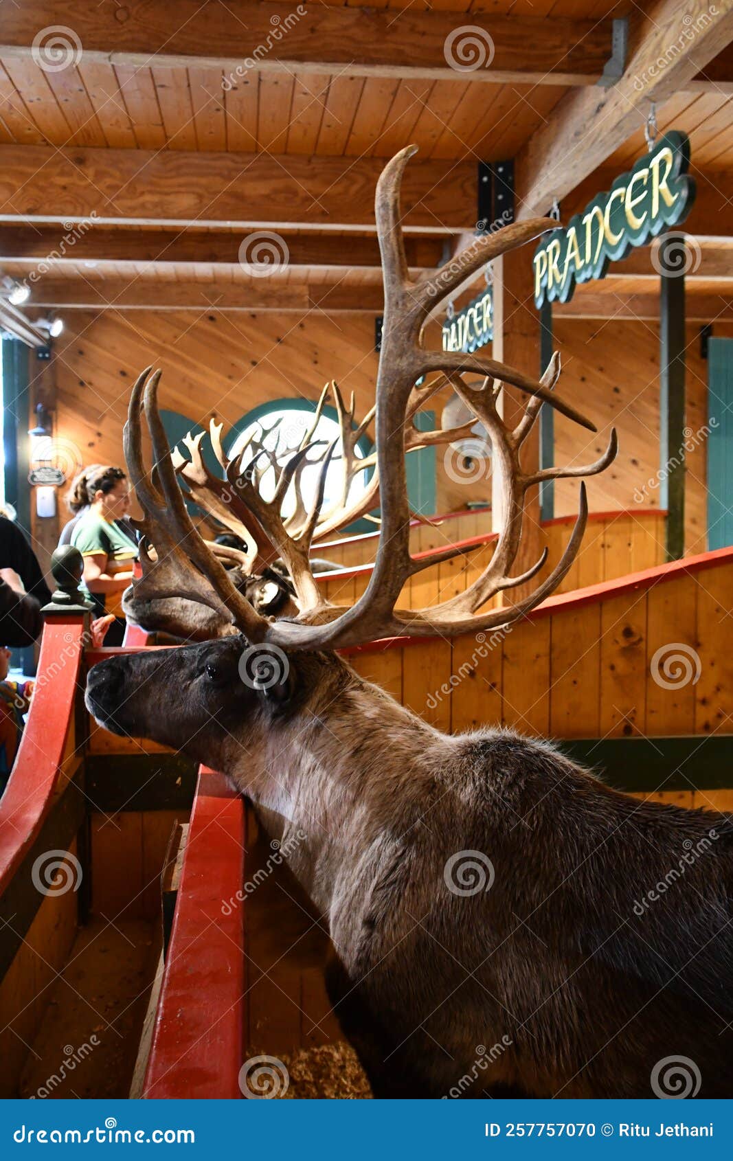 Reindeer Rendezvous at Santas Village Amusement Park in Jefferson New Reindeer Rendezvous at Santas Village Amusement Park in Jefferson New