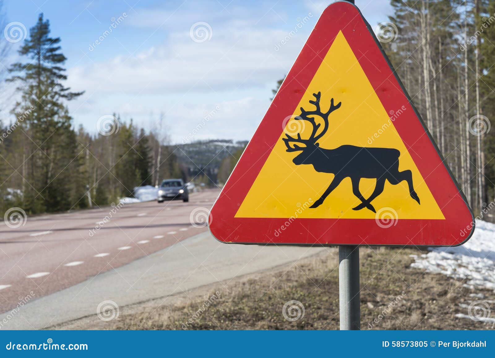 reindeer warning sign sweden