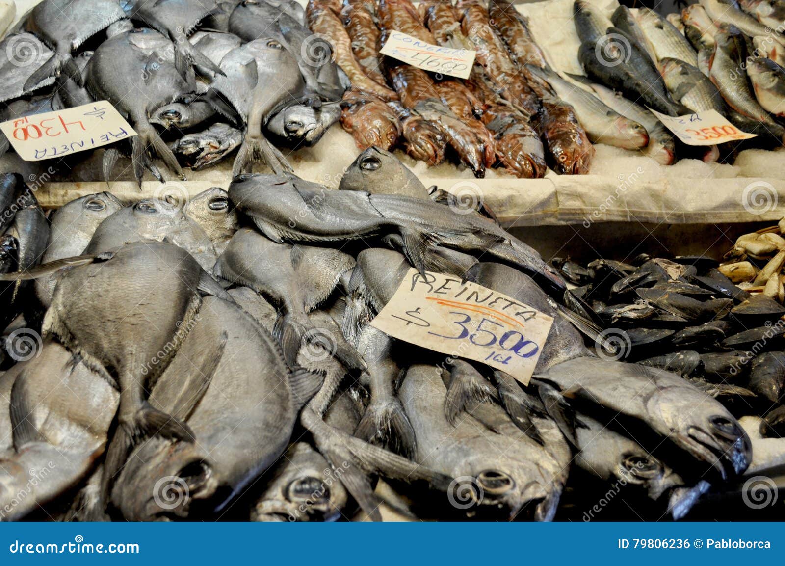 Reineta Fish stock photo. Image of latin, shot, chile - 79806236
