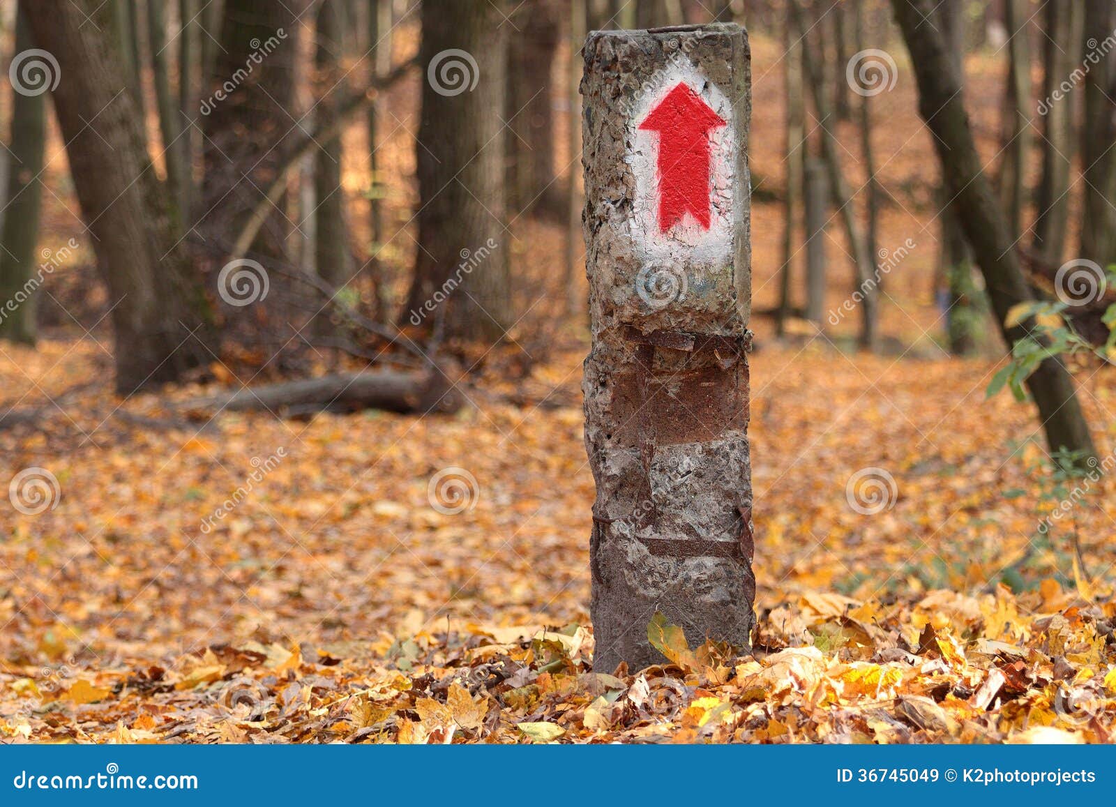 Reinforced column. Reinforced column with a red arrow pointing in the direction closeup