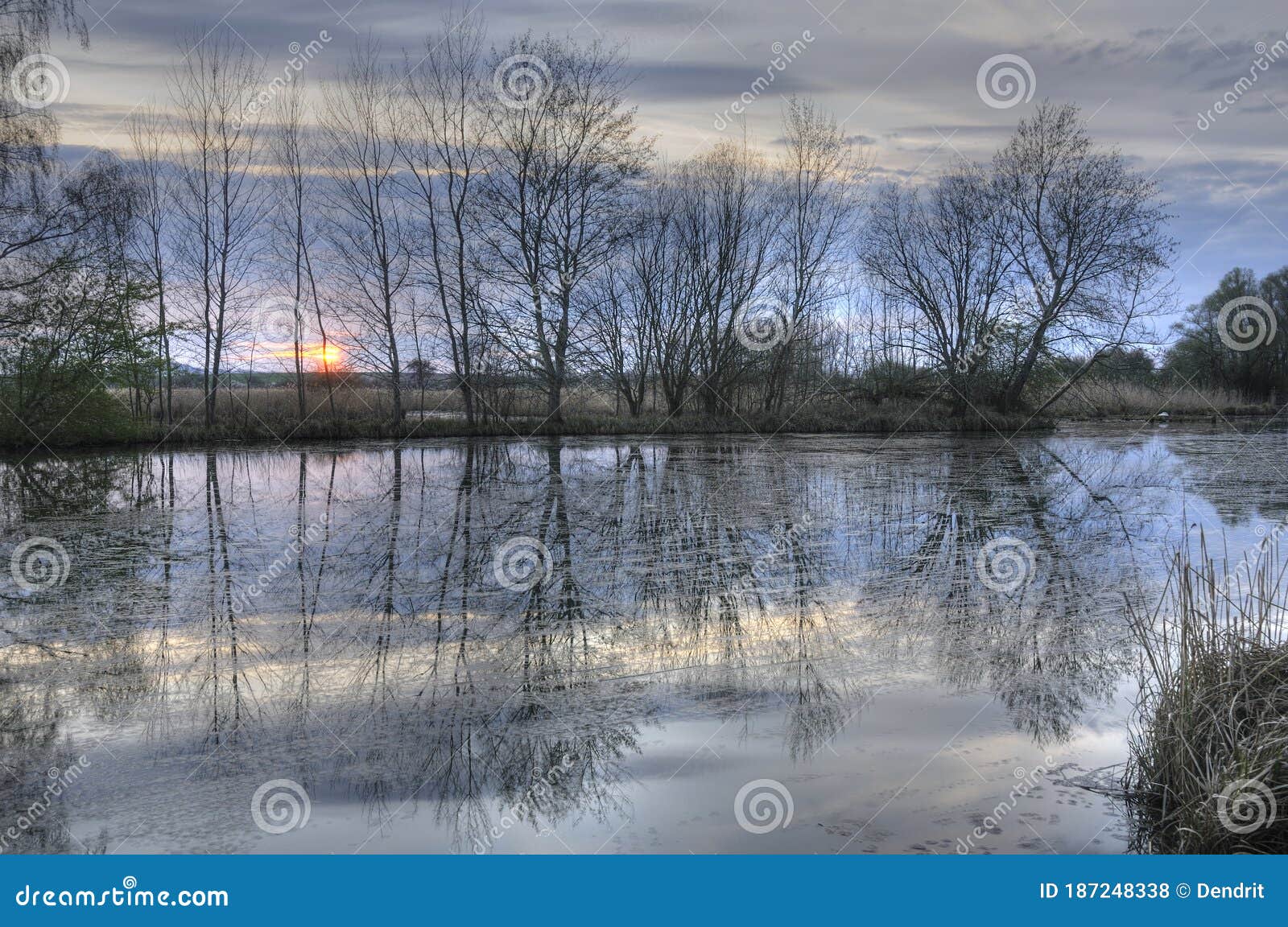 Reinheimer Teich, a Lake in Germany Stock Photo Image of reserve