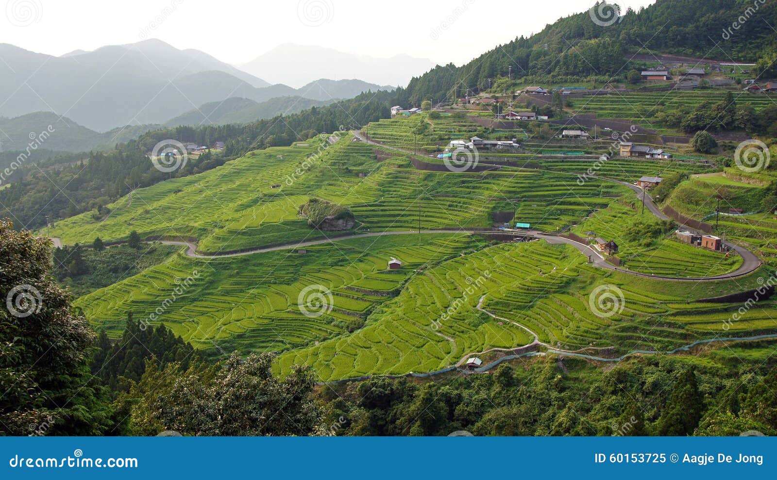 Reisterrassen Maruyama Senmaida In Japan Stockbild Bild Von Sudlich Paddy