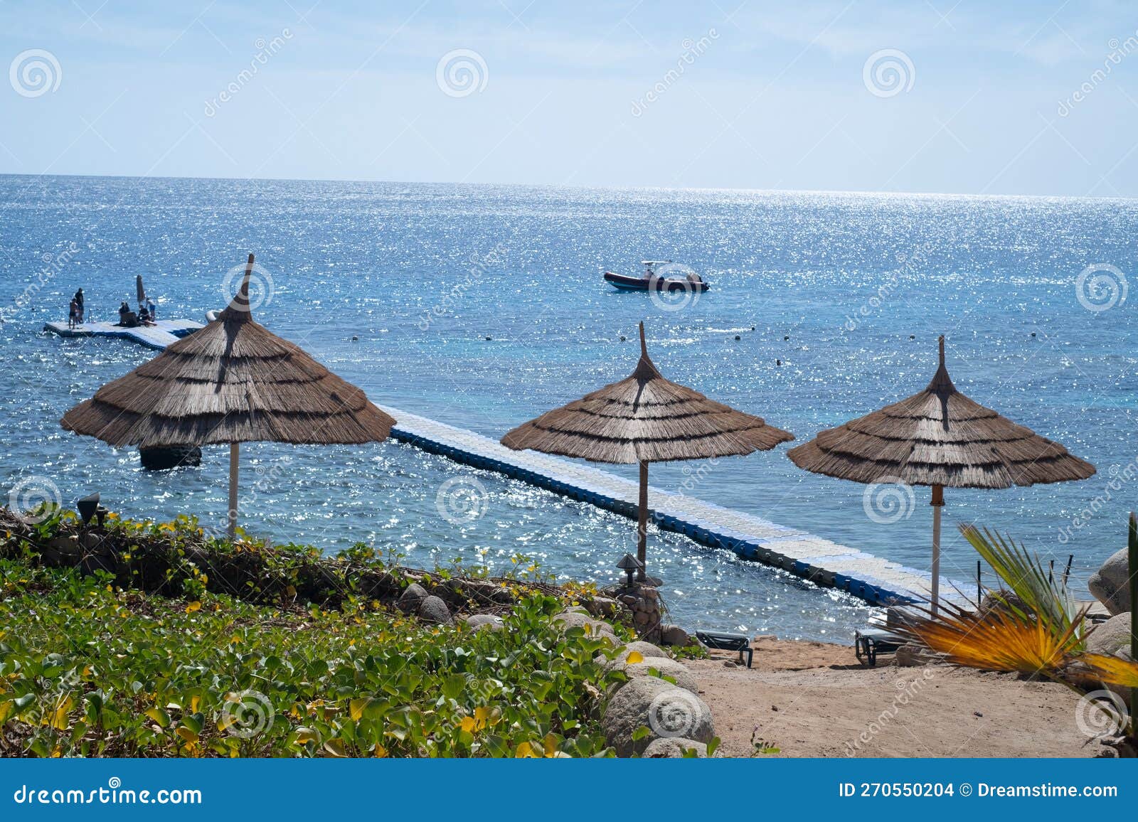 Relax Under an Umbrella on the Beach of the Red Sea, Egypt Stock Photo Image of holiday